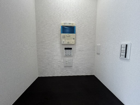 �����s���c�s���R�� �̒��Ã}���V�����̂��̑�