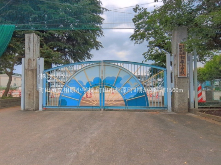 �����s���c�s������ �̐V�z��ˌ��Ă̎��ӊ�